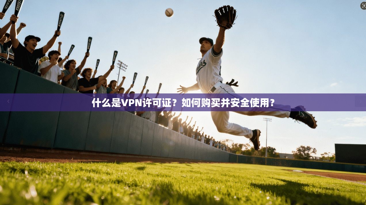 什么是VPN许可证？如何购买并安全使用？