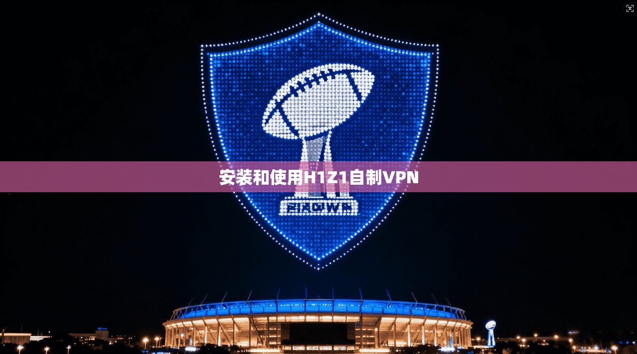 安装和使用H1Z1自制VPN