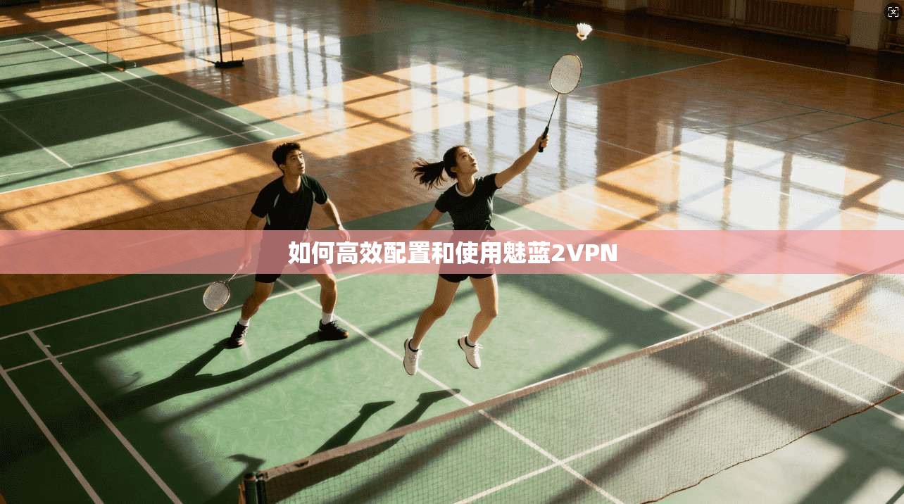 如何高效配置和使用魅蓝2VPN