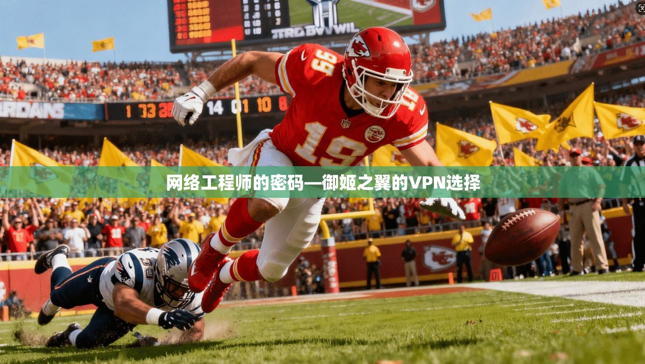 网络工程师的密码—御姬之翼的VPN选择