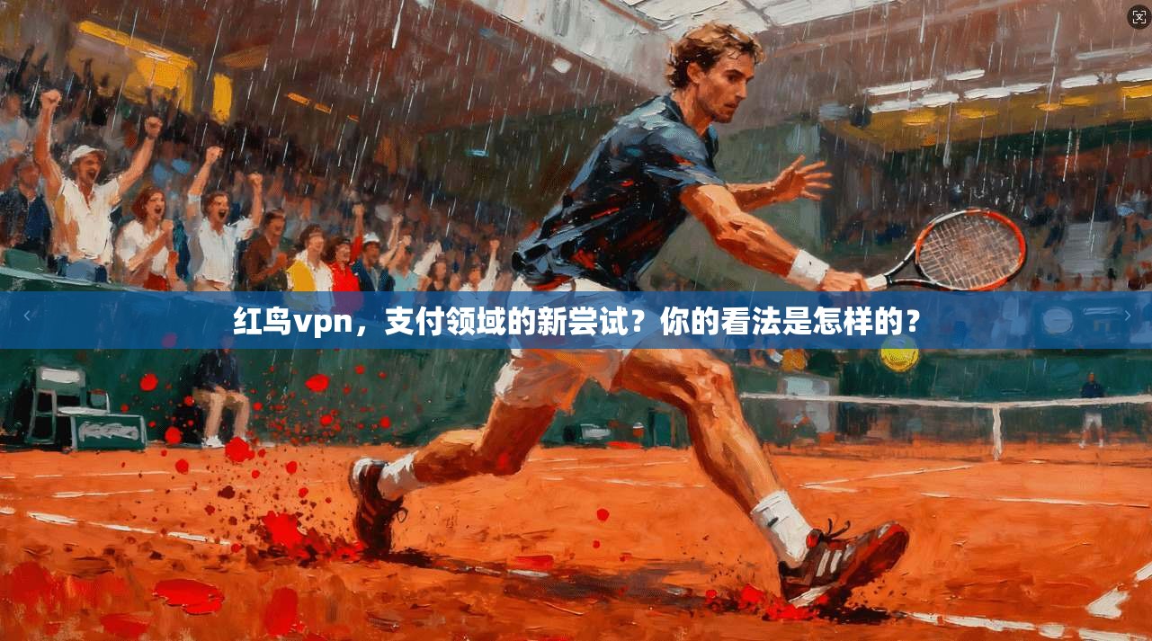 红鸟vpn，支付领域的新尝试？你的看法是怎样的？