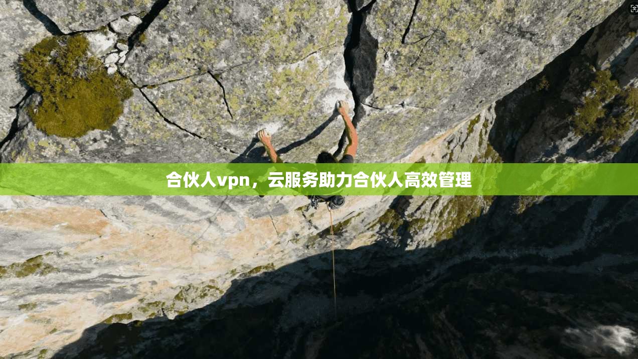 合伙人vpn，云服务助力合伙人高效管理