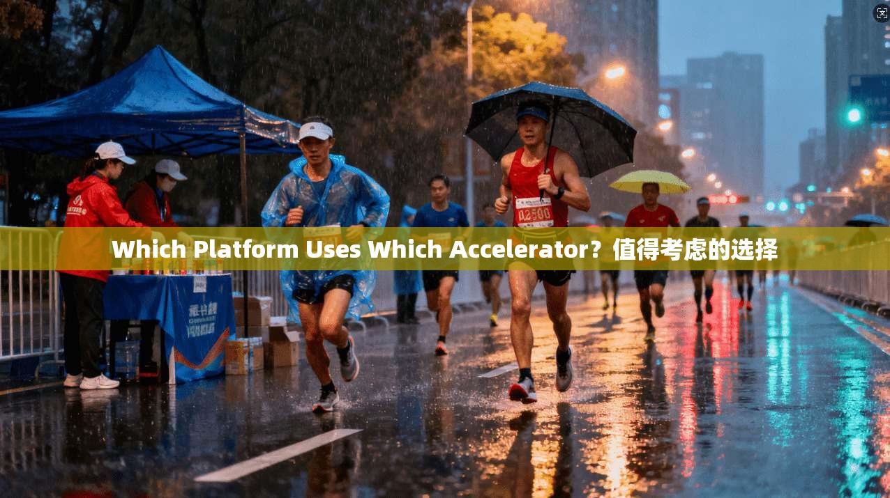 Which Platform Uses Which Accelerator？值得考虑的选择