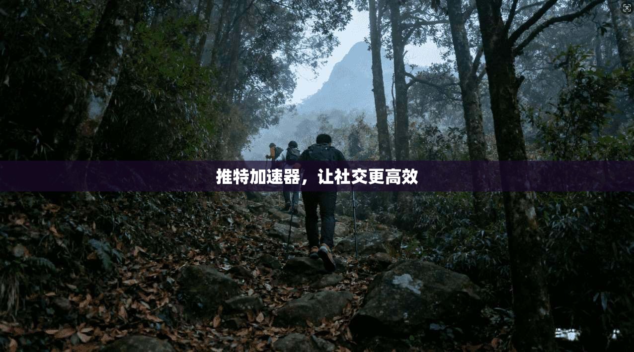 推特加速器，让社交更高效  第1张
