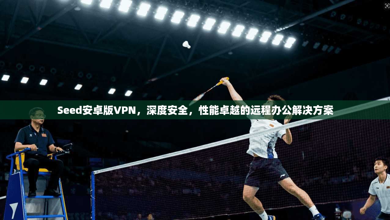 Seed安卓版VPN，深度安全，性能卓越的远程办公解决方案