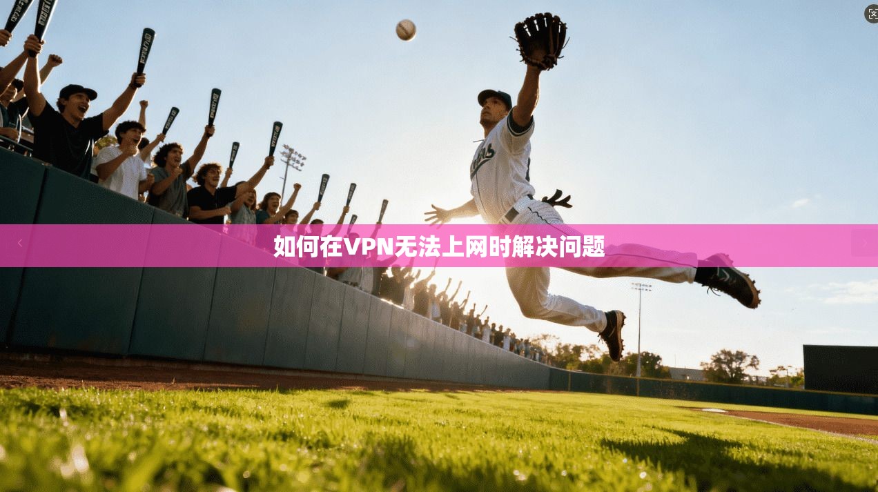 如何在VPN无法上网时解决问题