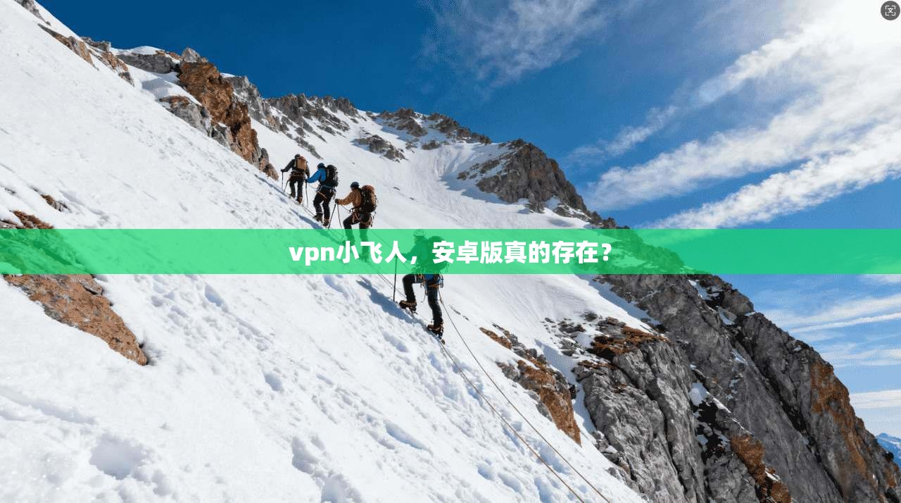 vpn小飞人，安卓版真的存在？