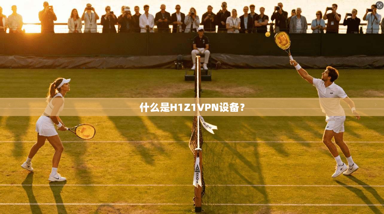 什么是H1Z1VPN设备？