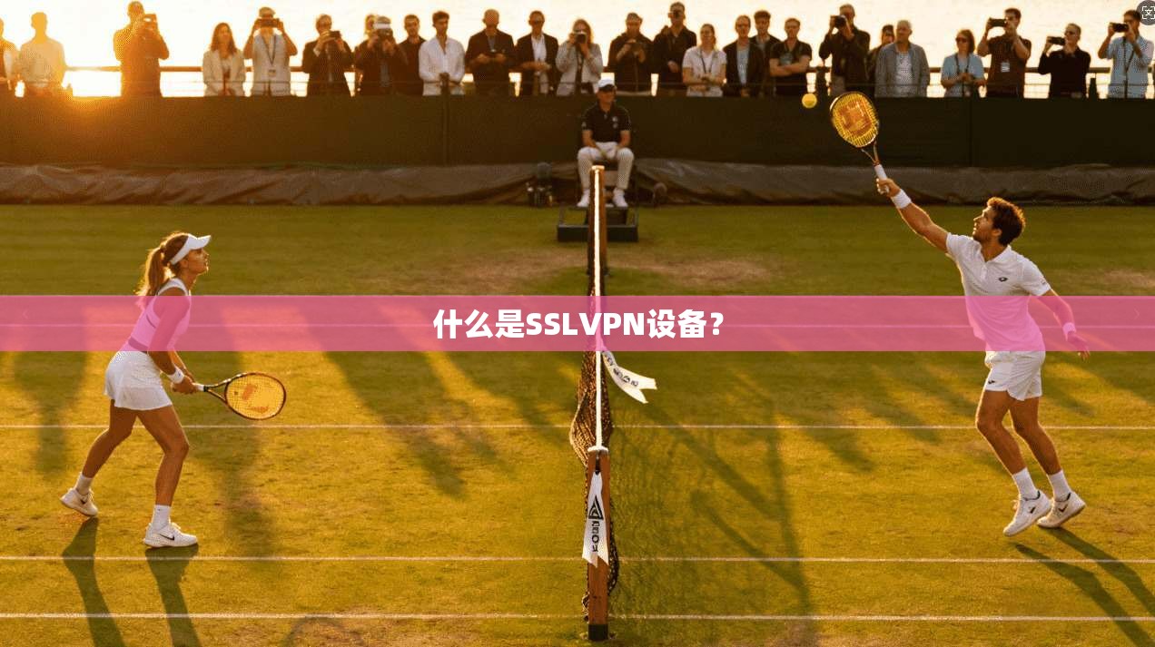 什么是SSLVPN设备？