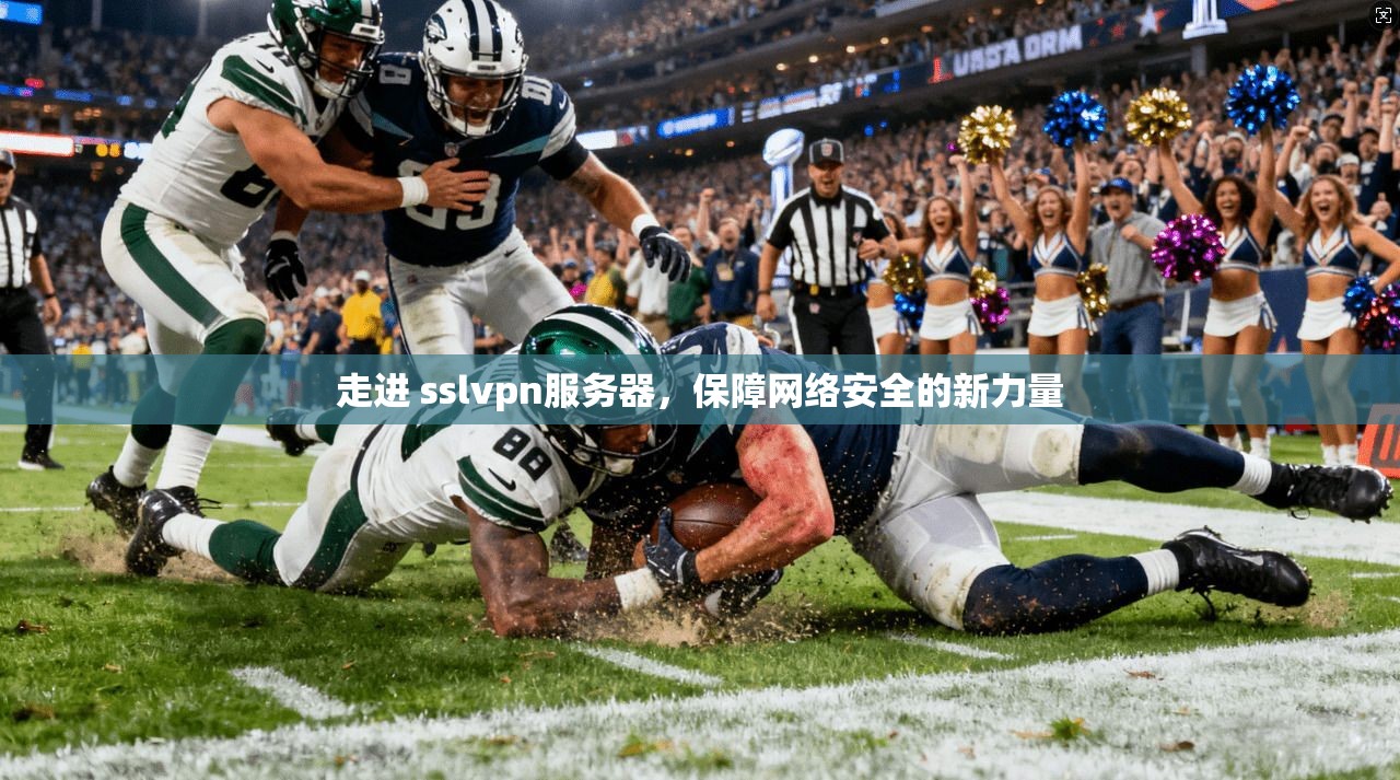 走进 sslvpn服务器，保障网络安全的新力量