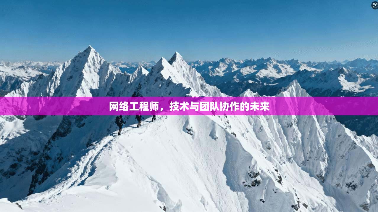 网络工程师，技术与团队协作的未来