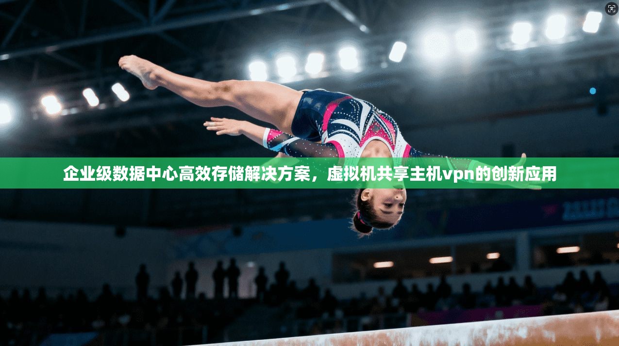 企业级数据中心高效存储解决方案，虚拟机共享主机vpn的创新应用