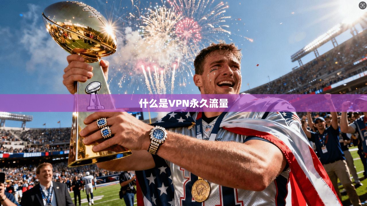 什么是VPN永久流量