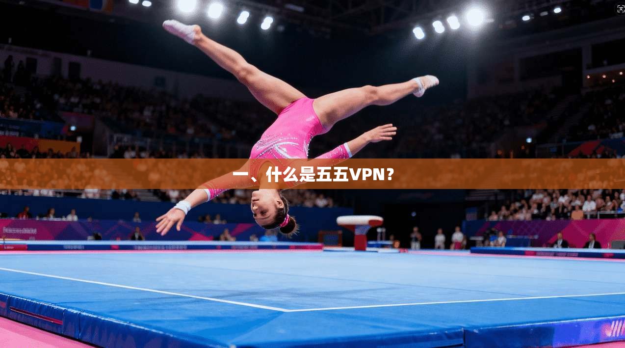 一、什么是五五VPN？