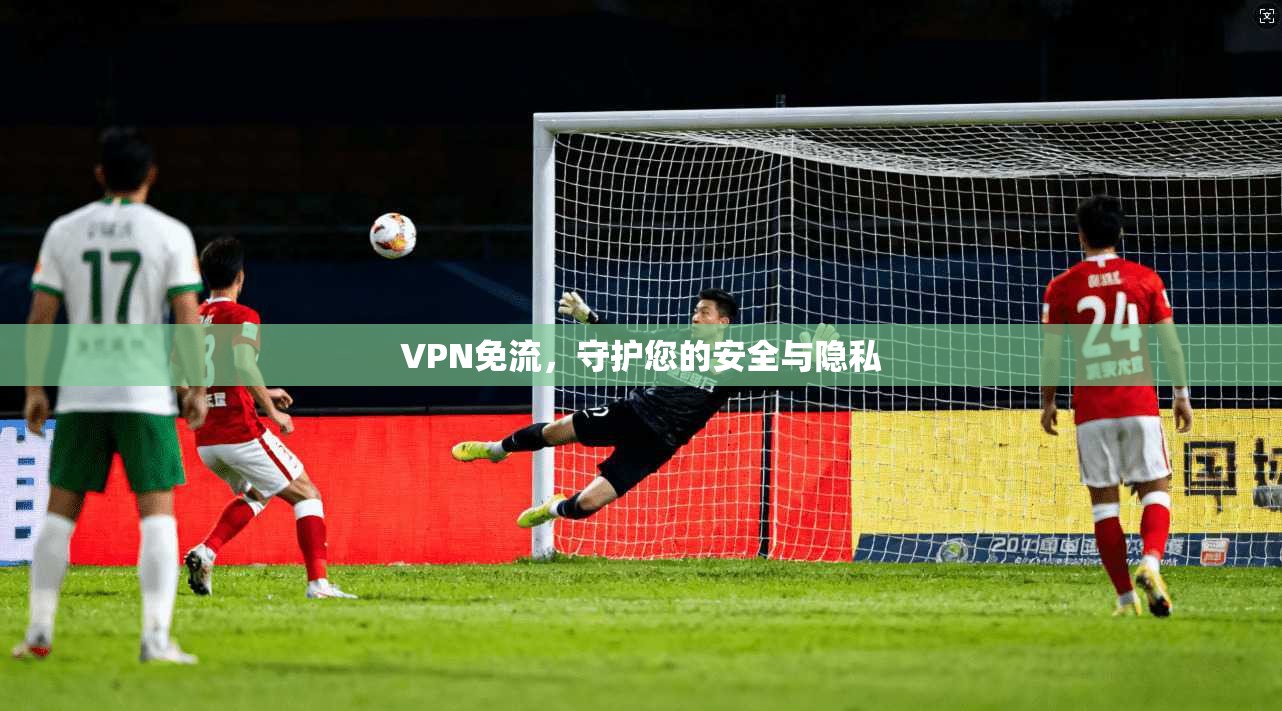 VPN免流，守护您的安全与隐私