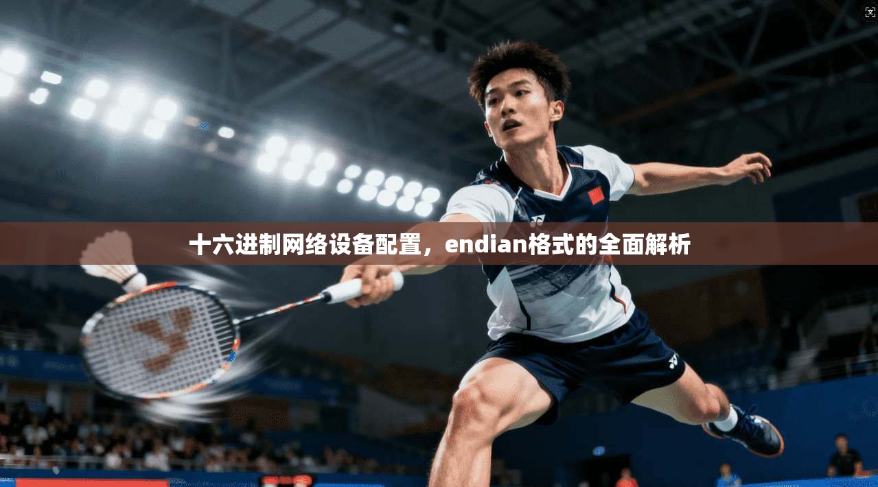 十六进制网络设备配置，endian格式的全面解析
