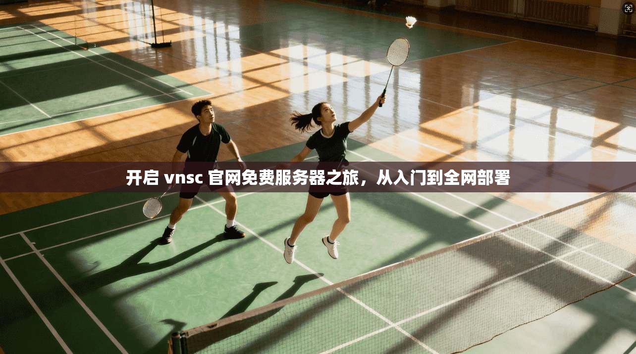 开启 vnsc 官网免费服务器之旅，从入门到全网部署