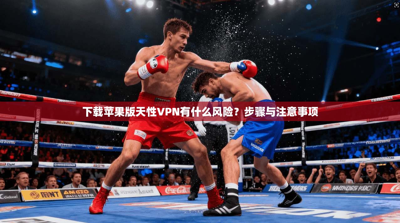 下载苹果版天性VPN有什么风险？步骤与注意事项
