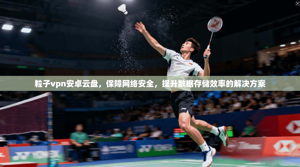 粒子vpn安卓云盘,保障网络安全,提升数据存储效率的解决方案