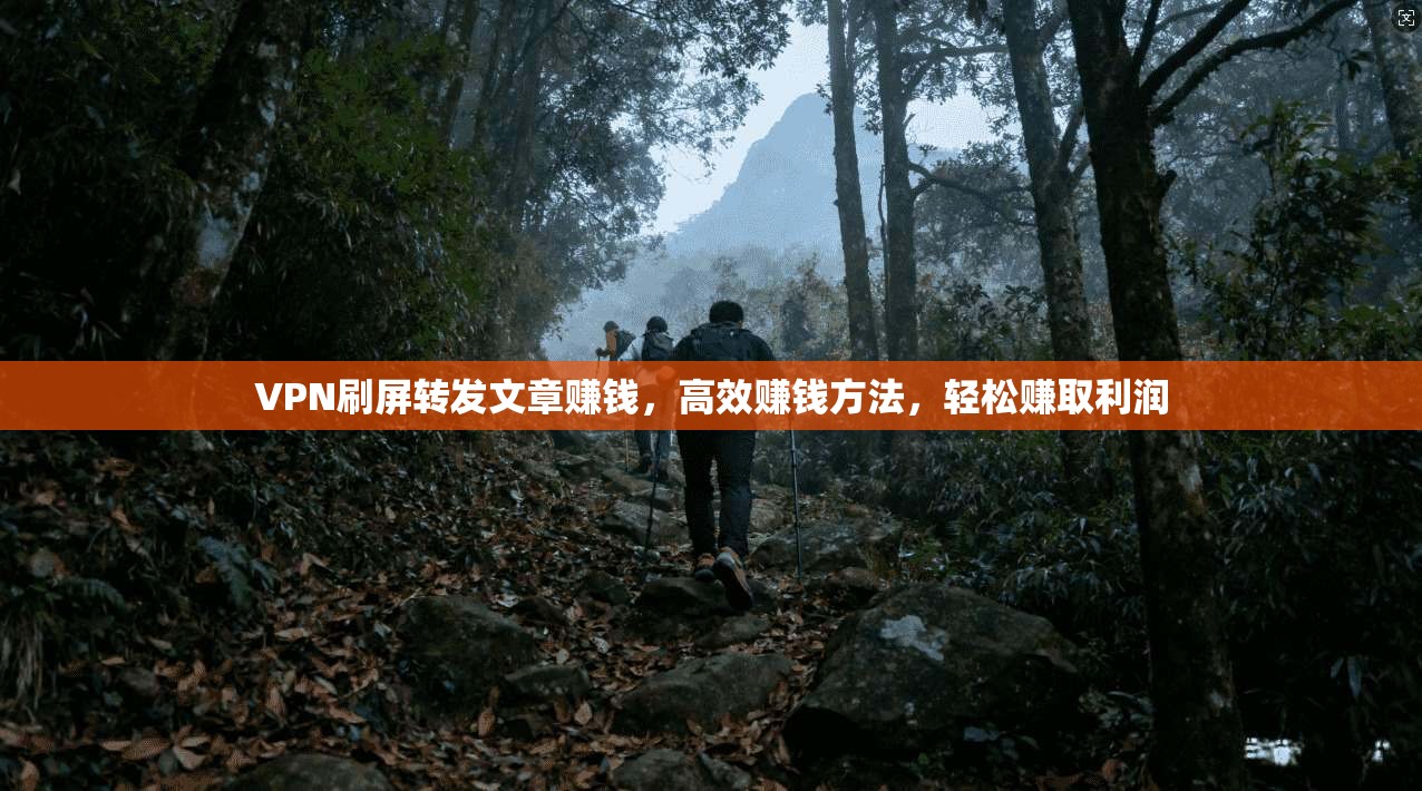 VPN刷屏转发文章赚钱，高效赚钱方法，轻松赚取利润