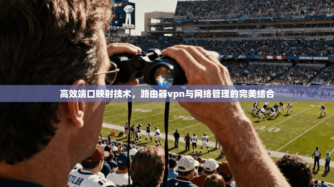 高效端口映射技术，路由器vpn与网络管理的完美结合