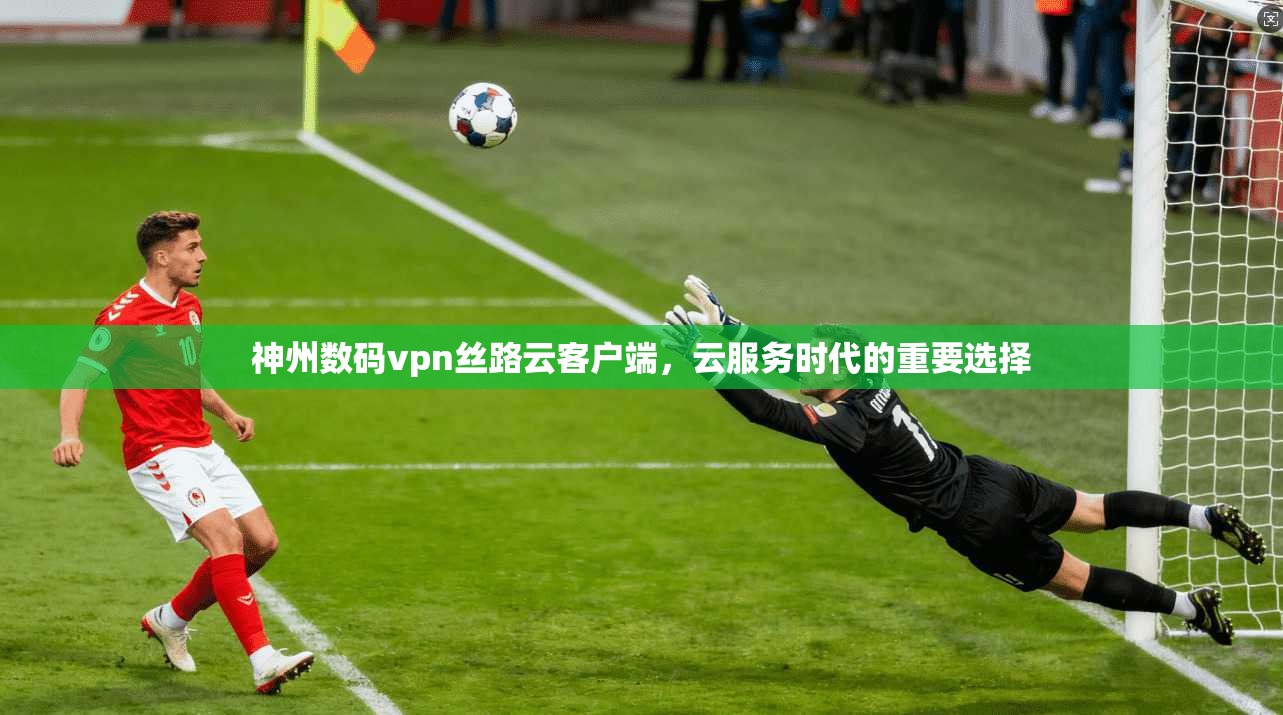 神州数码vpn丝路云客户端，云服务时代的重要选择