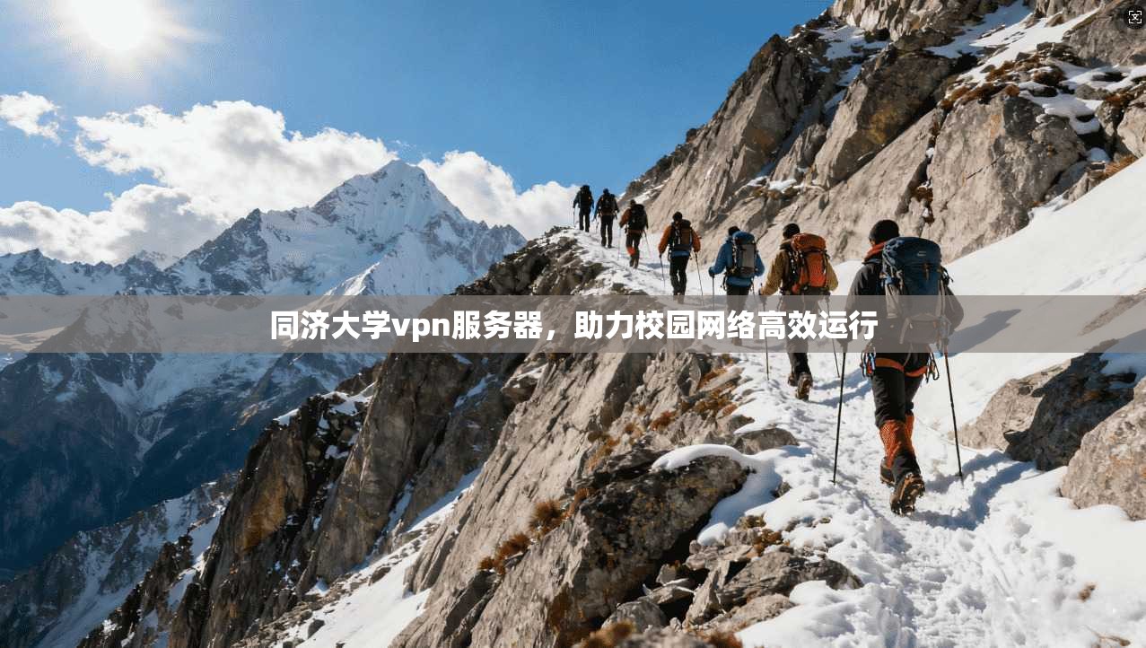 同济大学vpn服务器,助力校园网络高效运行