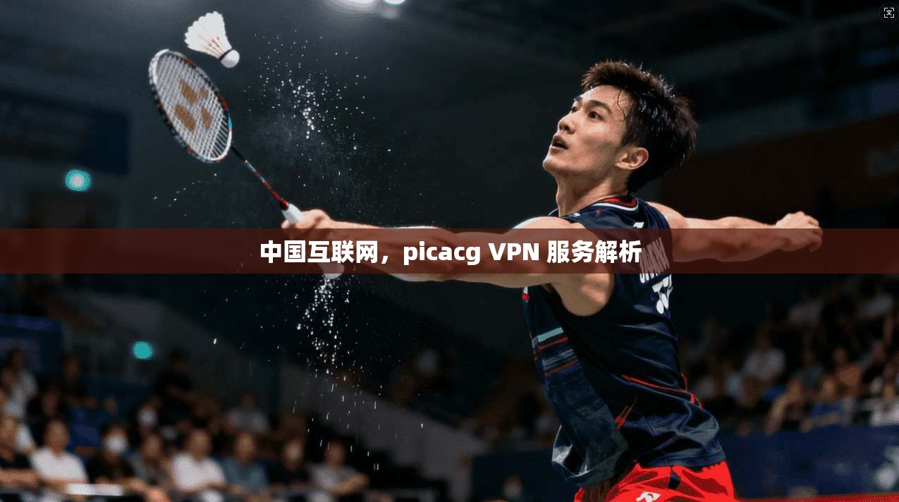 中国互联网,picacg VPN 服务解析