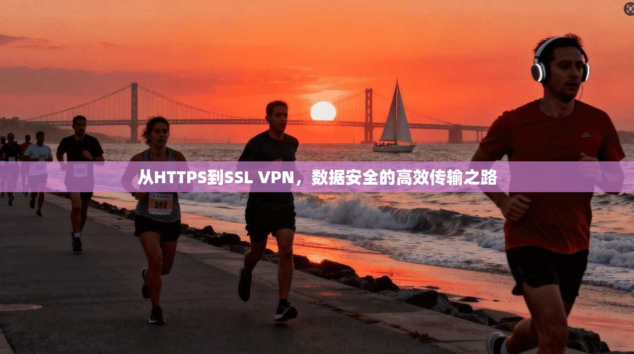 从HTTPS到SSL VPN,数据安全的高效传输之路