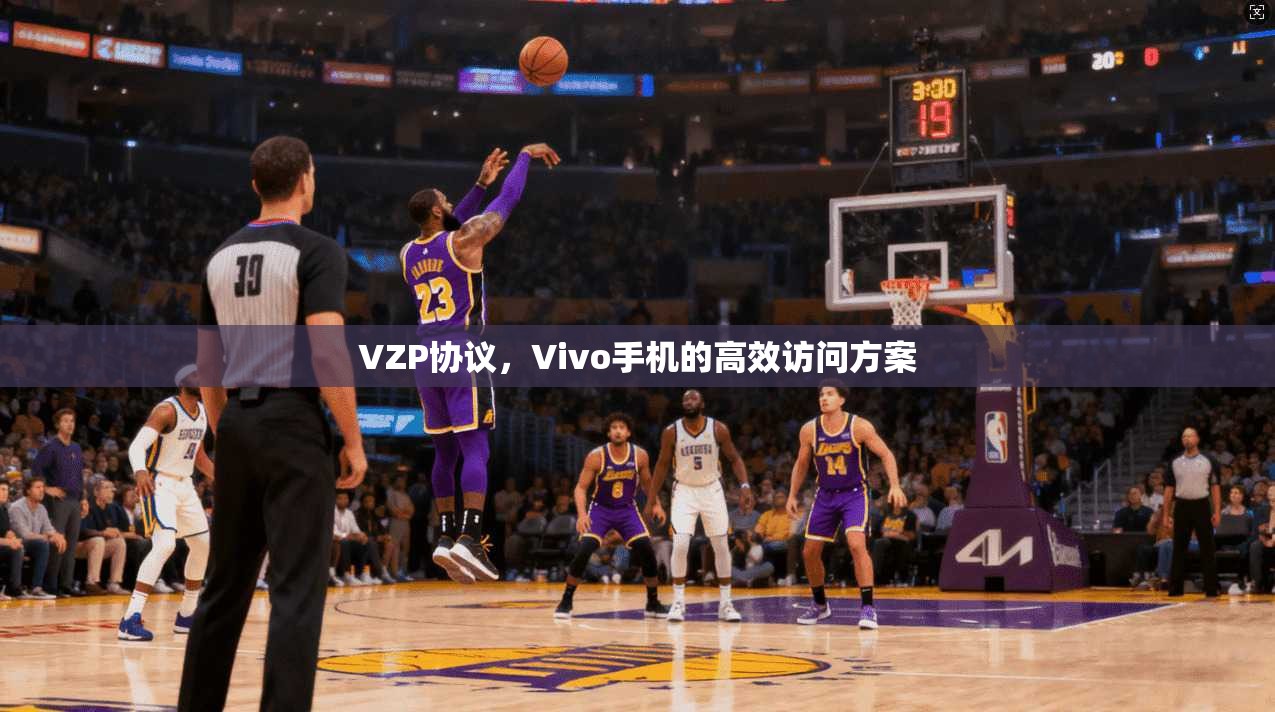 VZP协议，Vivo手机的高效访问方案