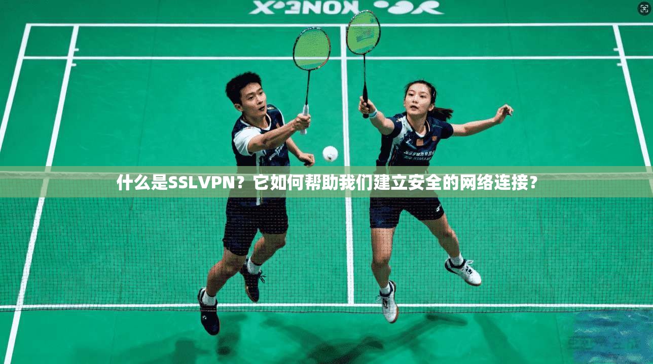什么是SSLVPN？它如何帮助我们建立安全的网络连接？  第1张