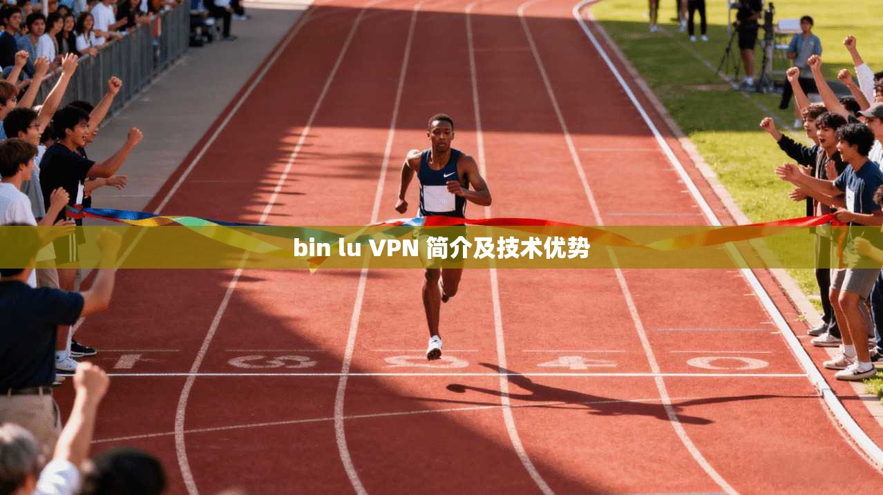bin lu VPN 简介及技术优势