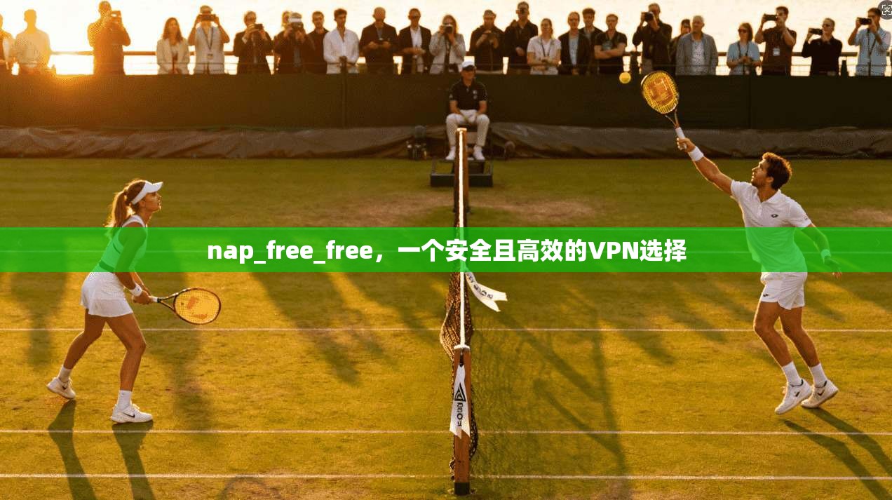 nap_free_free，一个安全且高效的VPN选择