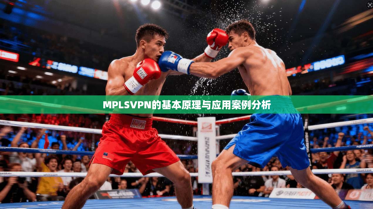 MPLSVPN的基本原理与应用案例分析