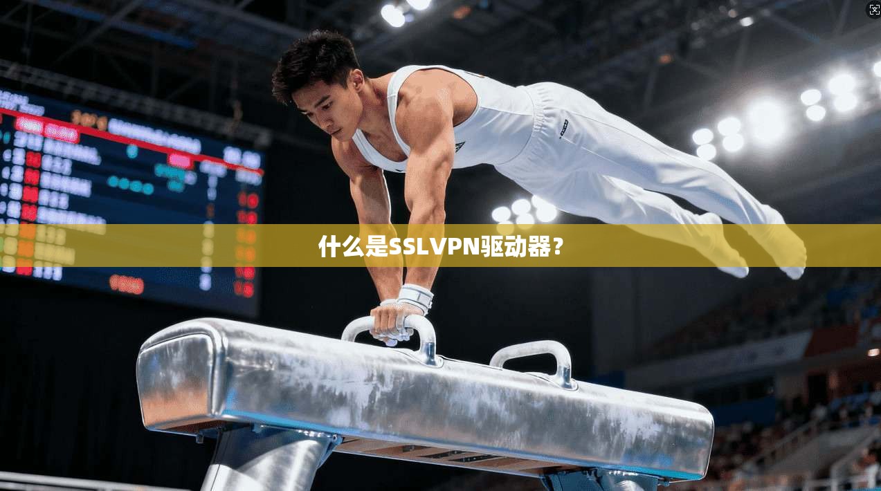 什么是SSLVPN驱动器？