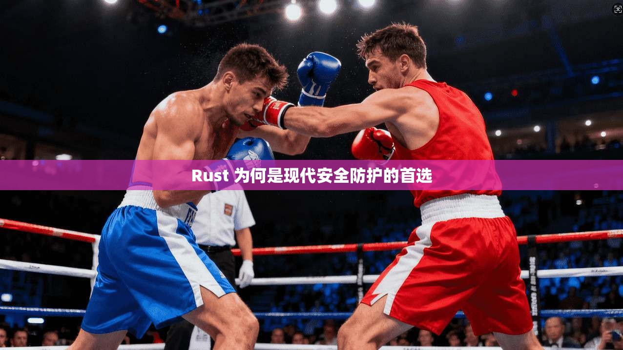 Rust 为何是现代安全防护的首选