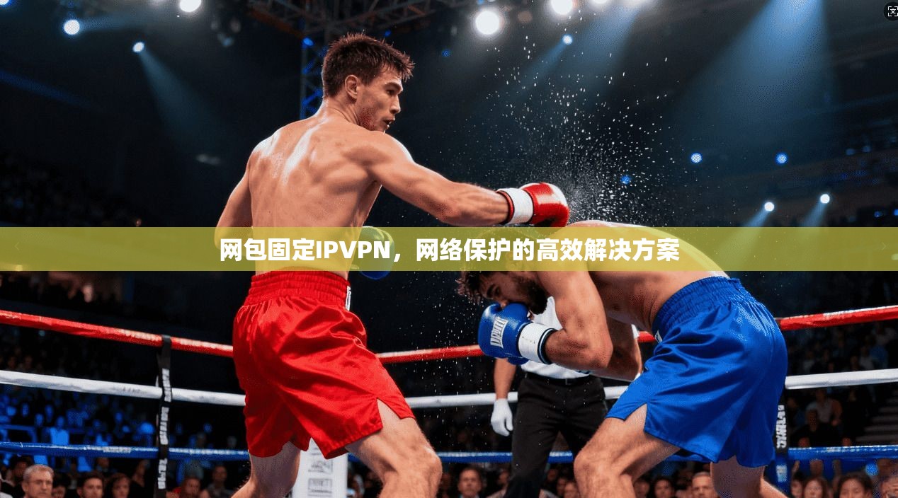 网包固定IPVPN，网络保护的高效解决方案