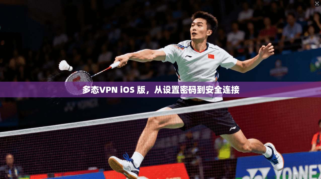 多态VPN iOS 版，从设置密码到安全连接