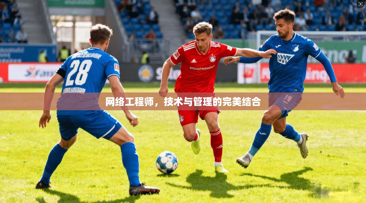 网络工程师，技术与管理的完美结合