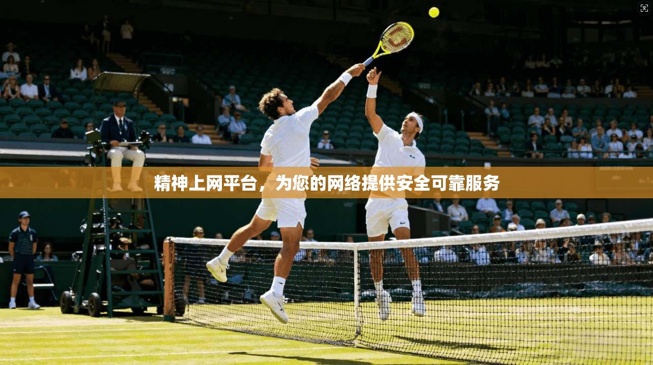 精神上网平台,为您的网络提供安全可靠服务