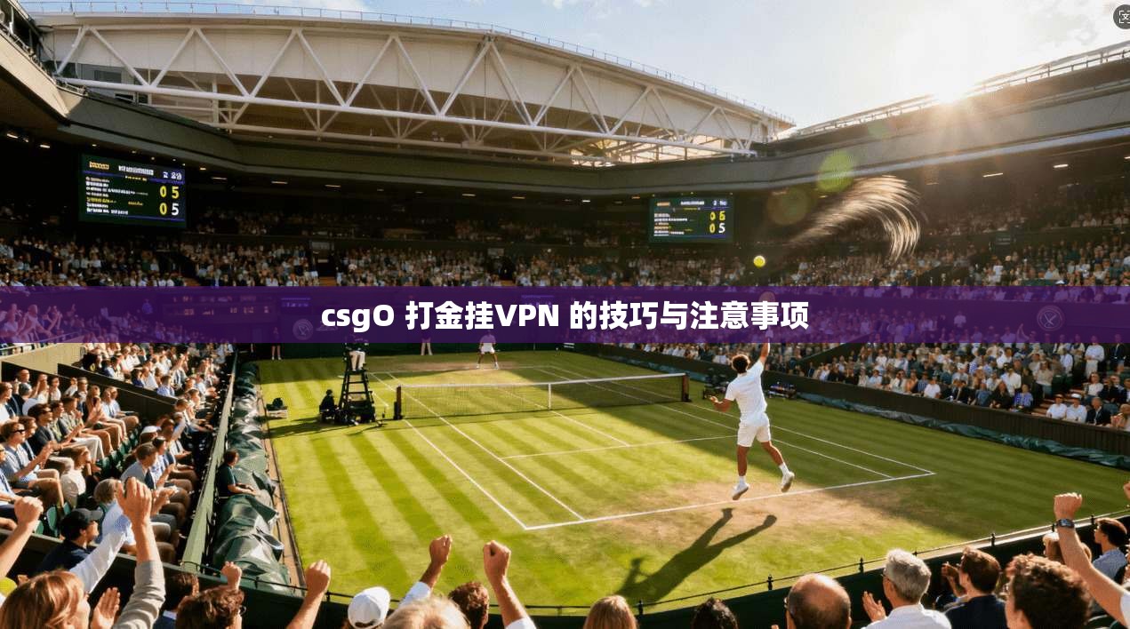csgO 打金挂VPN 的技巧与注意事项