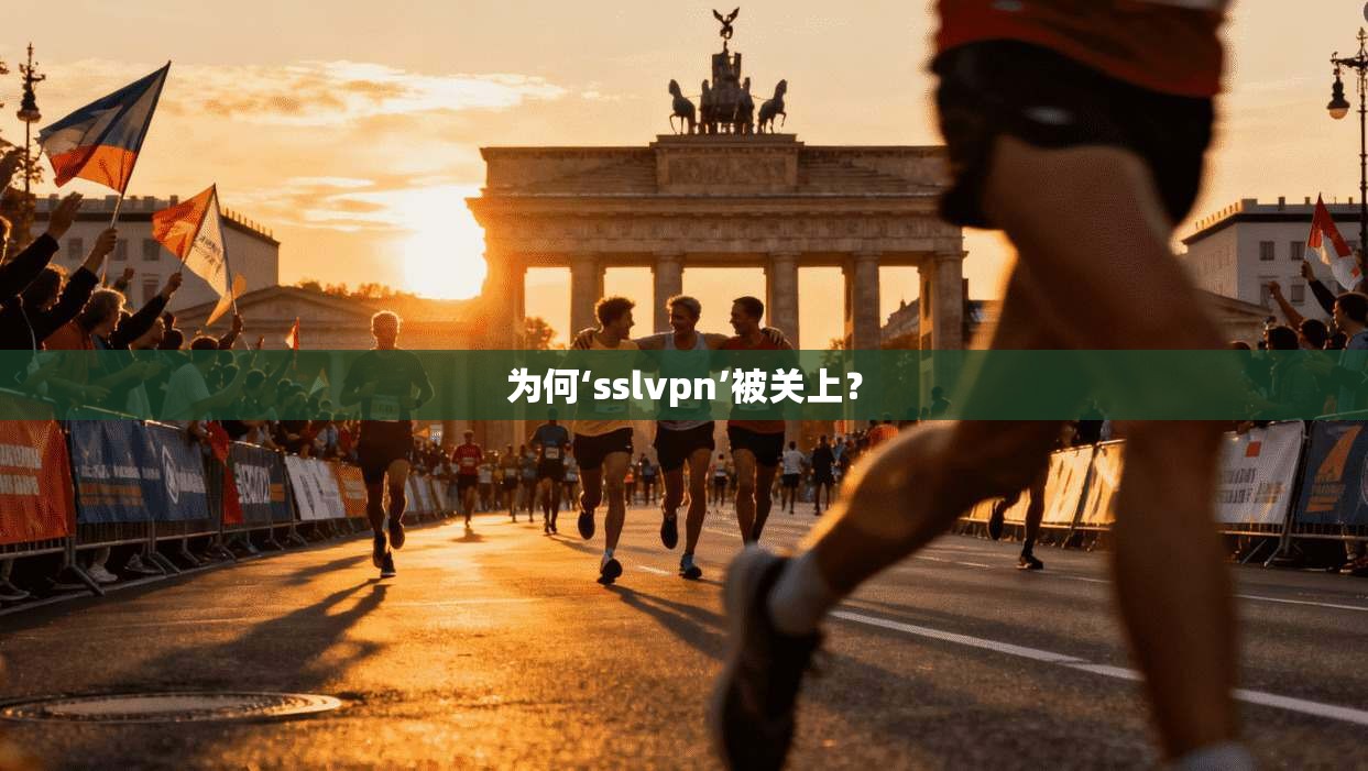 为何‘sslvpn’被关上?
