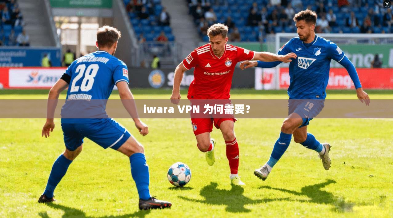 iwara VPN 为何需要？