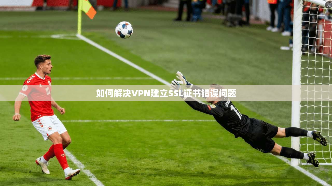 如何解决VPN建立SSL证书错误问题