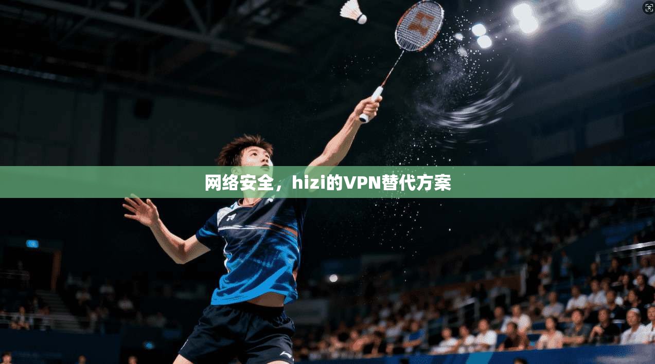 网络安全,hizi的VPN替代方案