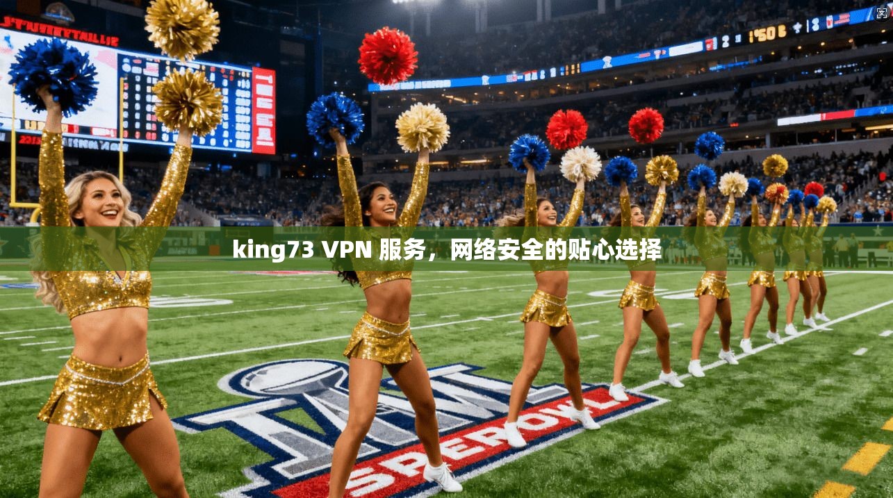 king73 VPN 服务,网络安全的贴心选择