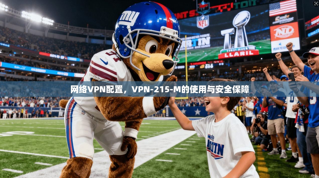 网络VPN配置，VPN-215-M的使用与安全保障