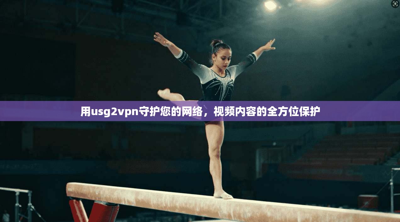 用usg2vpn守护您的网络，视频内容的全方位保护