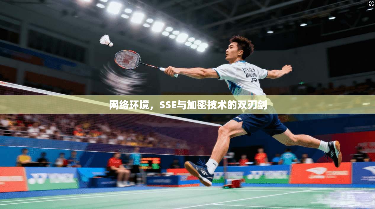 网络环境,SSE与加密技术的双刃剑