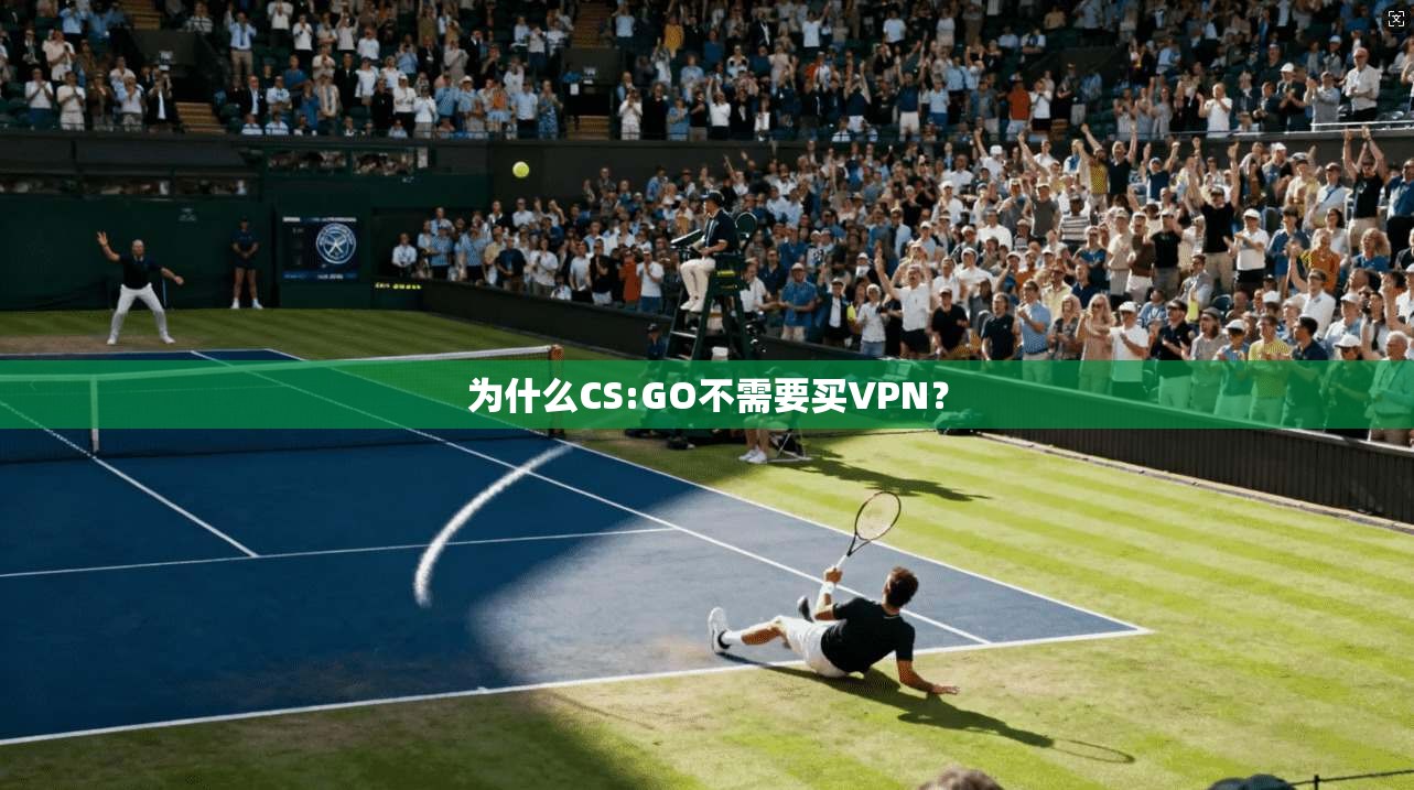 为什么CS:GO不需要买VPN?
